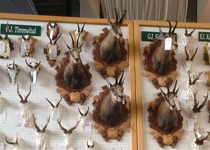 Konukevi Haus Saskia